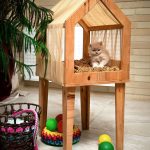 خانه گربه شیروانی